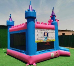 Princess1 1747239992 Princess Castle